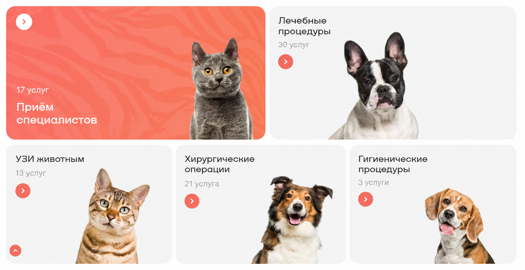 Корпоративный сайт на экране ноутбука